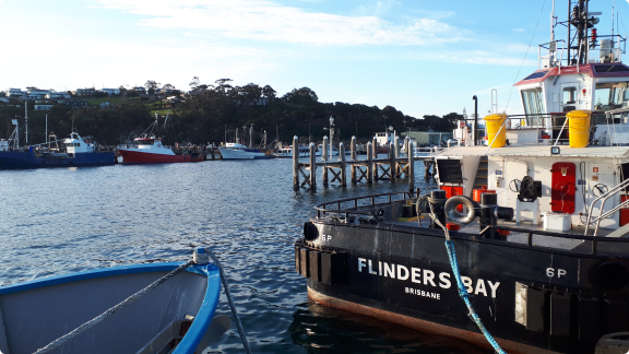 fishing boat in a harbour